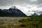 Dry trees and snowy mountains