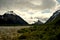 Dry trees and snowy mountains