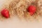 Dry twig of reeds and red strawberries on the beige paper background, isolated.