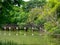 Dry twigs on river garden,Behind is forest,Show abundant,At Sri Nakhon Khuean Khan Park and Botanical Garden in Bangkok Thailand