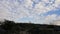 Dry twigs and trees, Carmel Mountains as a background, sky, Israel