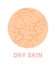 Dry Unhealthy Skin. Close-up. Facial and Body Skin Problems. Color Cartoon style. Circle. Zoom. White background. Vector