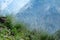 Dry upland meadow with views of steep mountain slopes