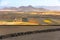 Dry volcanic ccultivated fields Lanzarote island Spain