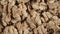 Dry walnut background, close up nut, rotation top view. Food background