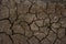 Dry waterless mud texture