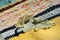 Dry white oak leaf, close up detail, bright striped colorful fabric folk style carpet of the 19th century background