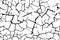 Dry white soil with black cracks seamless pattern