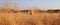 Dry wild plants in front of a field with bales of cereal