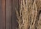 Dry wild tall brown needle grass on wooden background. Top view. Natural background