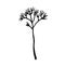 Dry winter twigs. Black and white sketch. Hand drawn vector illustration