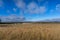 Dry yellow grass on an agricultural field. Drought countryside scene