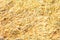 Dry yellow straw grass background texture