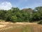 A dry zone forest and mountain in Sri Lanka.