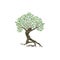 Dryad mythology tree vector isolated