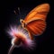 Dryas Julia butterfly isolated on black background. Insects in nature. AI generated