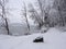 Dryden Lake Park Schug Hiking Trail snow covered in wintertime