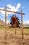 Drying animal hide, Gorkhi-Terelj National Park, Mongolia