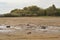 Drying bottom of the river against the background of a natural landscape - shore, trees, sky. Low water level in the reservoir