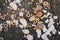 Drying bread and biscuits on the ground as a bird food top view