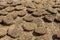 Drying camel dung fuel.