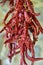 Drying chillies in an Agriturismo in Basilicata, Italy