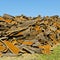 Drying of Corkwood