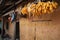 Drying corncobs and soybeans with a chinese lantern hanged over the entrance of a hmong house in Ha Giang Province, Vietnam