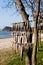 Drying fishes hanging on trees in South Korea