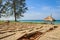 Drying fishes under sun