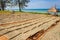 Drying fishes under sunlight