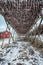 Drying flakes for stockfish cod fish in winter. Lofoten islands,