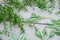 Drying fresh herbs and greenery for spice food