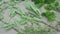 Drying fresh herbs and greenery for spice food on wooden desk background. Parsley leaves, sage and marjoram