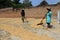 Drying grain