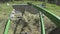 Drying hay by turning with a rotor tractor rake