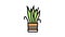 drying house plant color icon animation