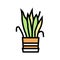 drying house plant color icon vector illustration