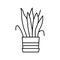 drying house plant line icon vector illustration