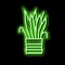 drying house plant neon glow icon illustration