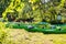 Drying kayaks in a tourist camp. Camping. Tourist halt