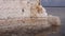 Drying Kuyalnik estuary. Crystals of self-precipitating salt on old boards of the 18th century salt industry. The ecological