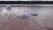 Drying Kuyalnik estuary. Crystals of self-precipitating salt on stones. The ecological problem is drought. Ukraine