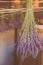 Drying lavender bouquets
