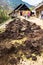 Drying of livestock manure under the sun for agriculture organic fertilizer