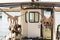 Drying octopus on fisherman boat in Greece Crete