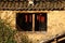 Drying peppers in window