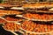 Drying Persimmons in early winter