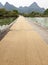 Drying Rice Grains along Street