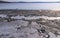 Drying salt lake in the Crimea, self-sedimentary salt on the silty shore of the lake